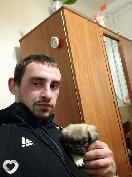 Дима, 31, Киеве — анкета №1059988