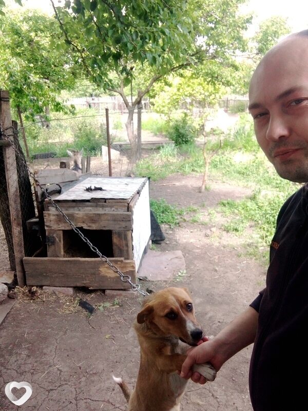 Александр, 36, Донецке — анкета №1063288