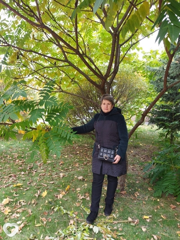 Алла, 68, Барановичах — анкета №1064760