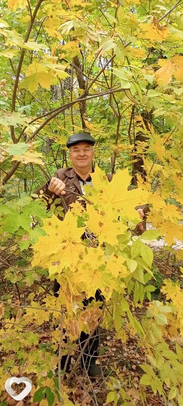 Виктор, 64, Брянске — анкета №1069180