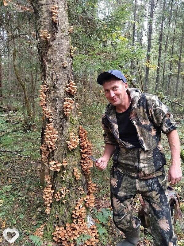 Сергей, 39, Костроме — анкета №1070910