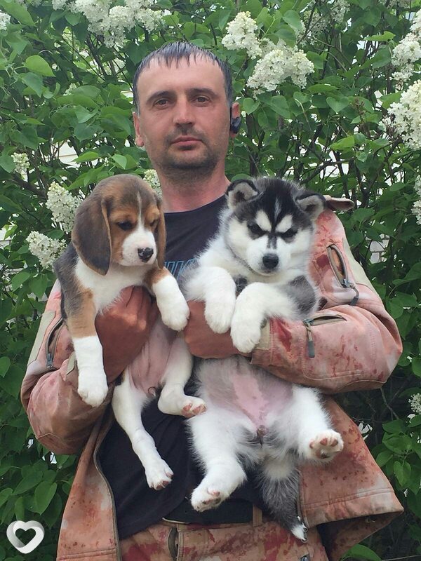 Андрей, 43, Могилев — анкета №1071479