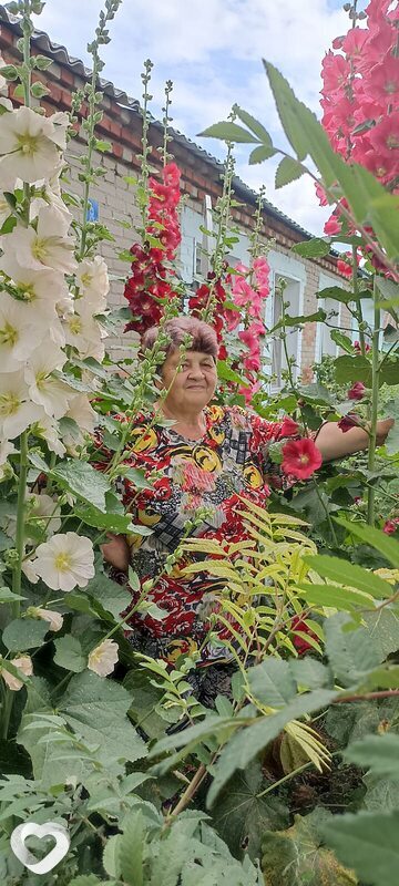 Алла, 65, Искитиме — анкета №1071671