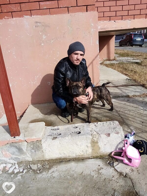 Иван Салтыков, Звенигово