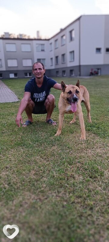 Александр, 40, Минске — анкета №1076433