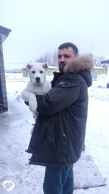 Расуль, 41, Уфе — анкета №1080109