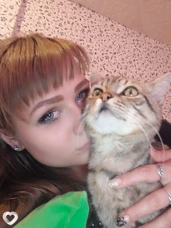 Wildcat, Невинномысск