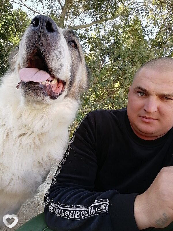 Алексей, 34, Георгиевске — анкета №1088043