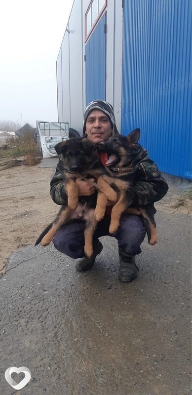 Юрий, 58, Нижневартовске — анкета №1088527