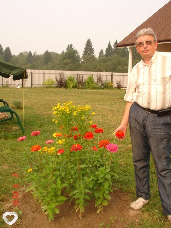 Константин, Павловский Посад