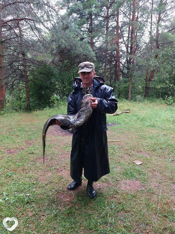 Сергей, 58, Орше — анкета №1097912