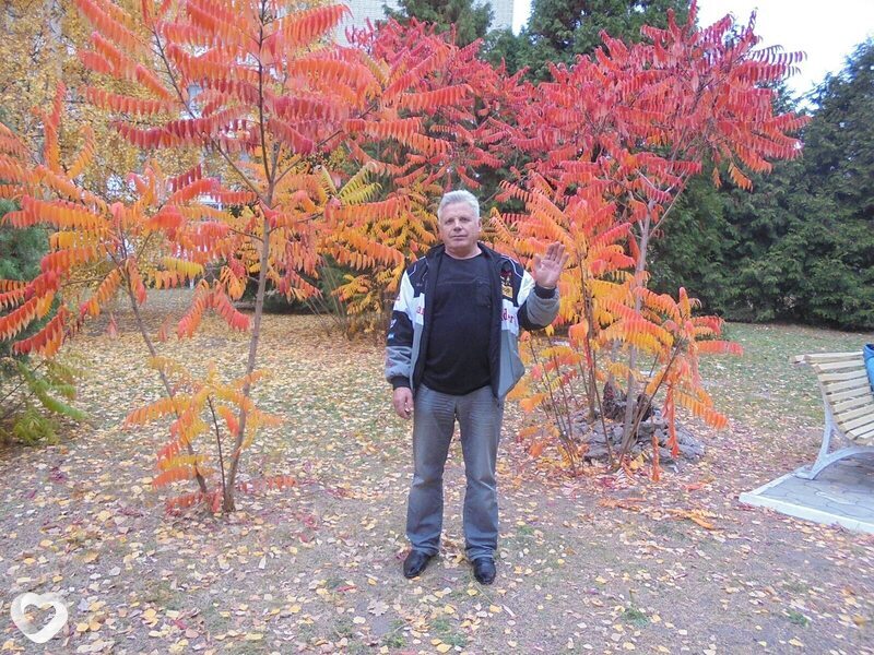 Владимир, 69, Воронеже — анкета №1100780