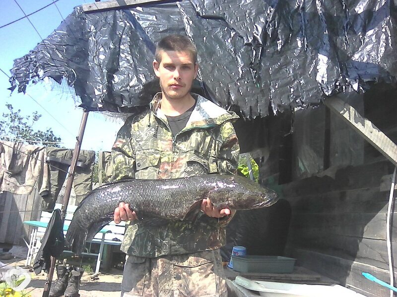 Алексей, 33, Владивостоке — анкета №1101479