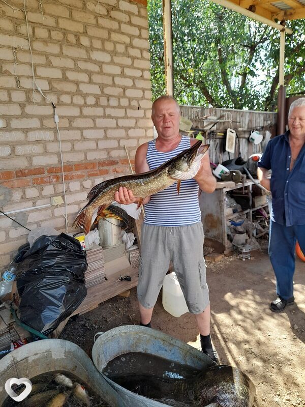 Владимир, 65, Бузулуке — анкета №1103417