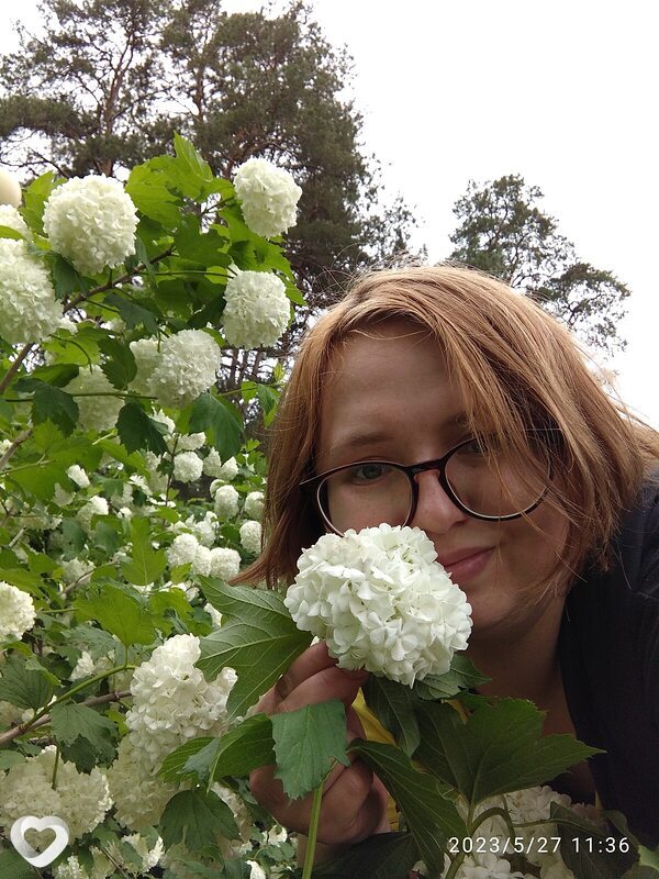 Алиса, 35, Мурманске — анкета №1105586