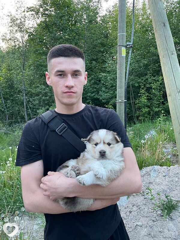 Тимур, 23, Приозерске — анкета №1108480