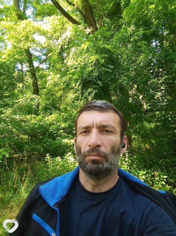 Gogita, Сохачев