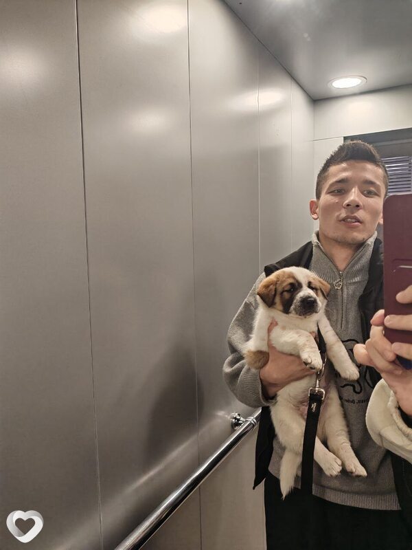 Шах, 24, Екатеринбурге — анкета №1115521