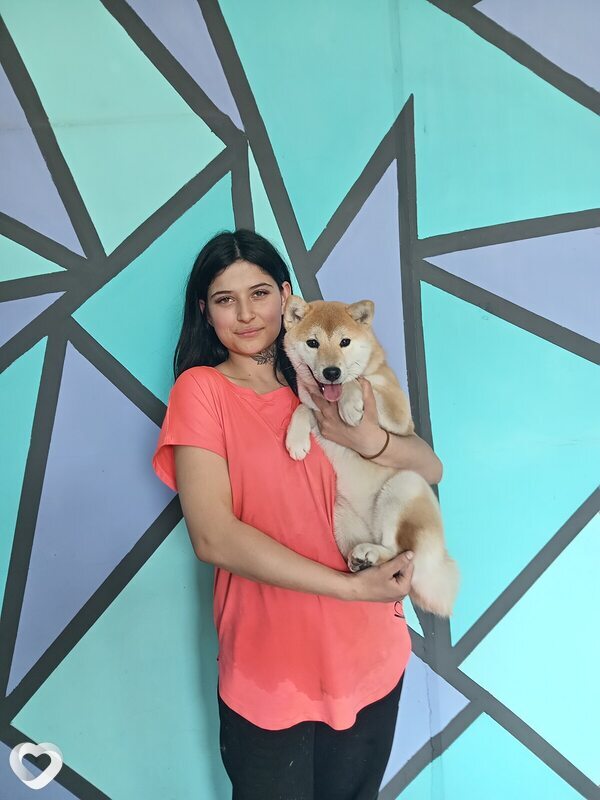 Лиза, 20, Чите — анкета №1117000