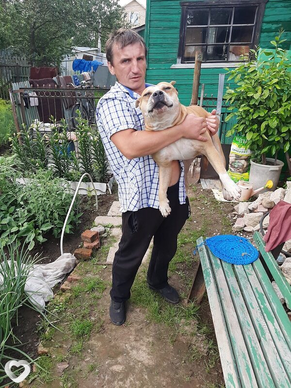 Алексей, 44, Талдоме — анкета №1118299