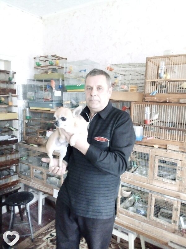 Вадим, Светловодск