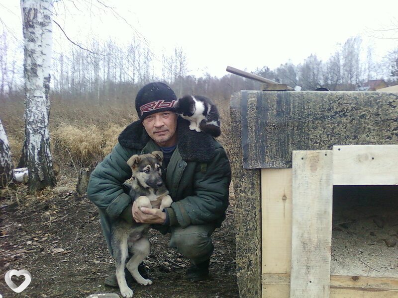 Владимир, 65, Саратове — анкета №1308345