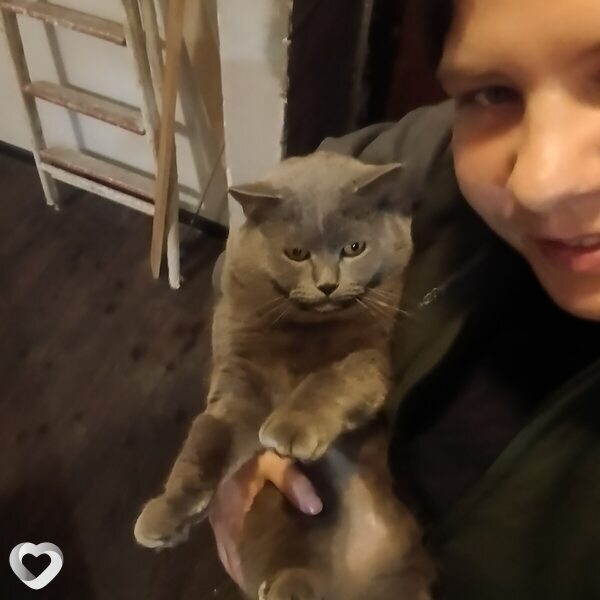 Ольга, 29, Липецке — анкета №1120341