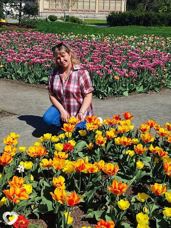 Елена, Оломоук
