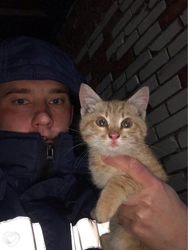 Максим, 28, Дмитрове — анкета №1128352