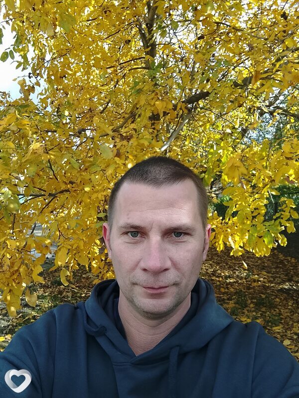 Лео, Медведовская
