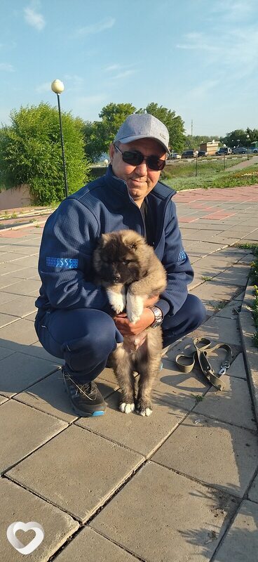 Алик, 54, Костанае — анкета №1134533