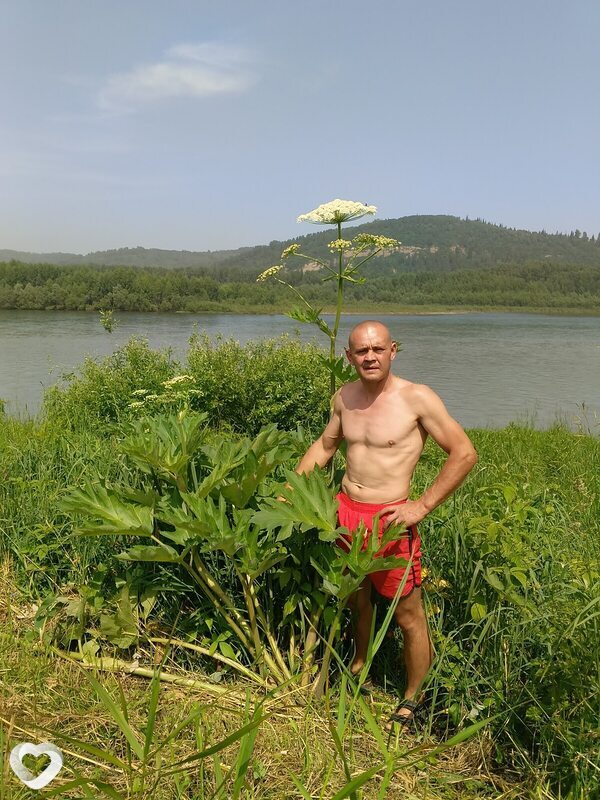 Алексей, 41, Новосибирске — анкета №1137716