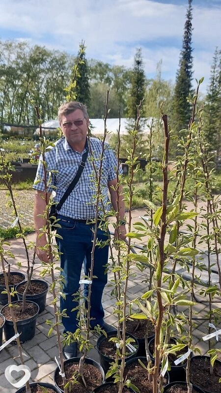 Сергей, 56, Тюмени — анкета №1138078