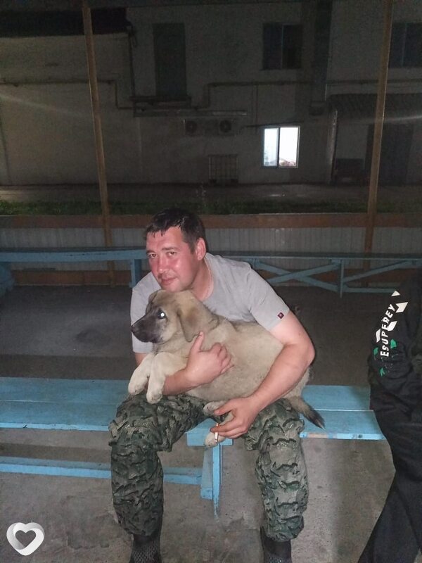 Александр, 38, Улан-Удэ — анкета №1139824