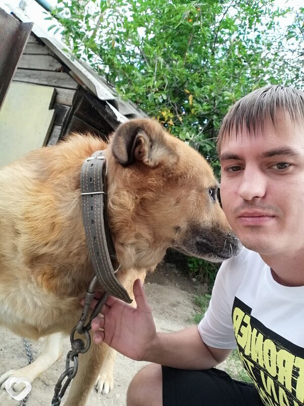 Эдгар, 33, Заволжье — анкета №1142573