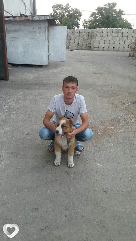 Ангел, 33, Ташкент — анкета №1145125