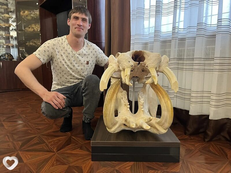Марк, Павлово