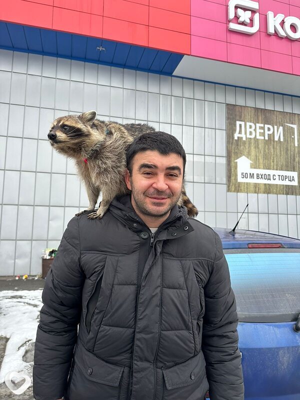 Al, 33, Владикавказе — анкета №1150877
