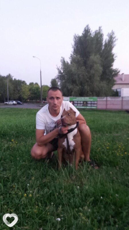 Денис, 39, Бресте — анкета №1154148