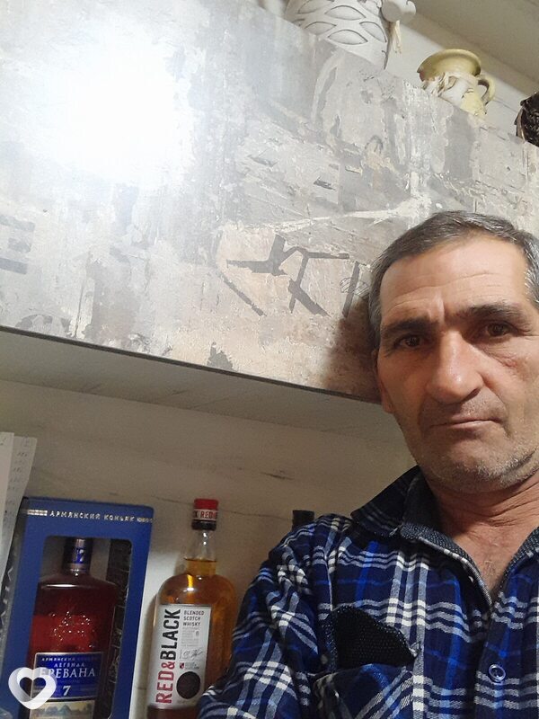 Гамлет, Борзя