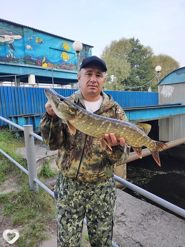 Denis, 44, Жодине — анкета №1155859
