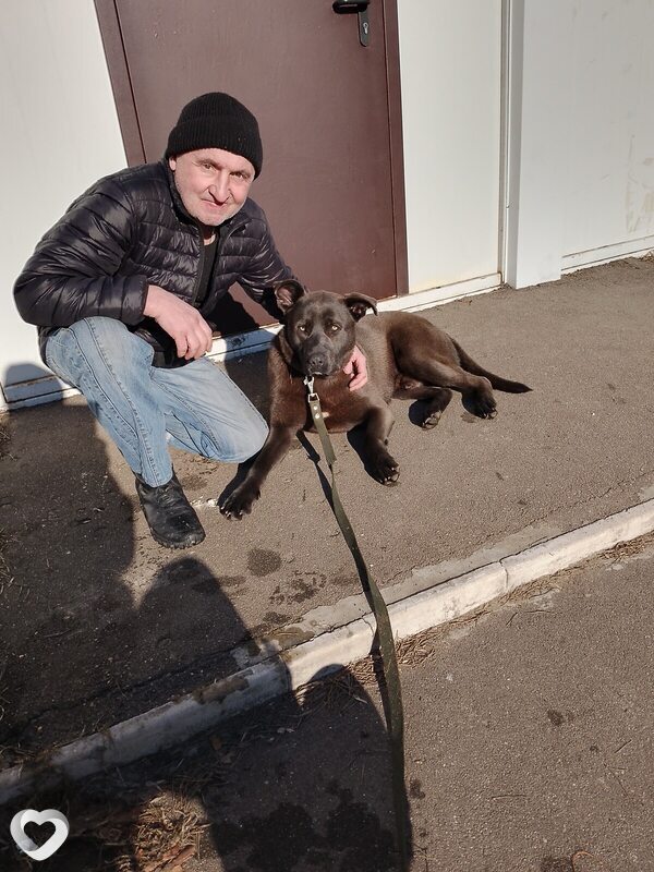 Анатолий Плехов, Москва