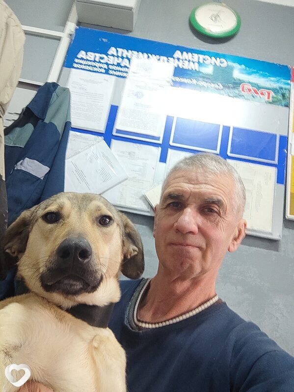 Аркадий, 62, Сочи — анкета №1160367