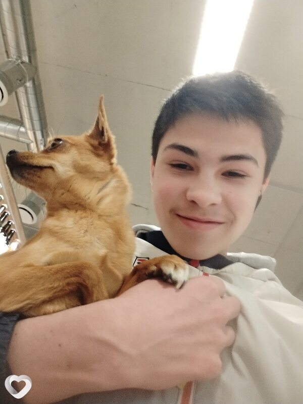 Илья, Москва