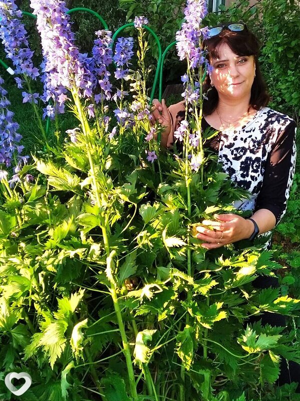 Ирина, 58, Иванове — анкета №1165867