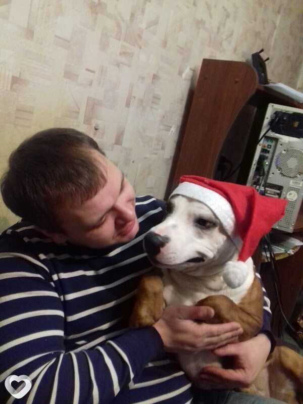 Михаил, 38, Таганроге — анкета №1168132