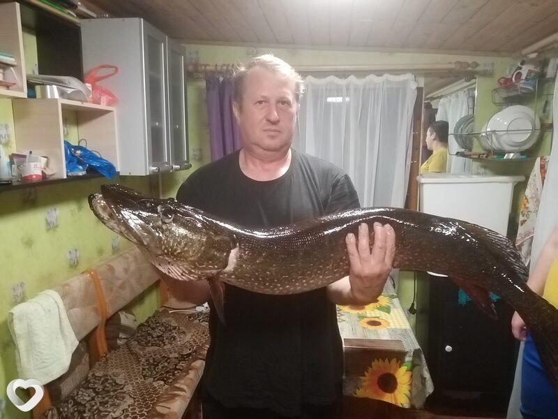Алексей, 57, Кандалакше — анкета №1171753