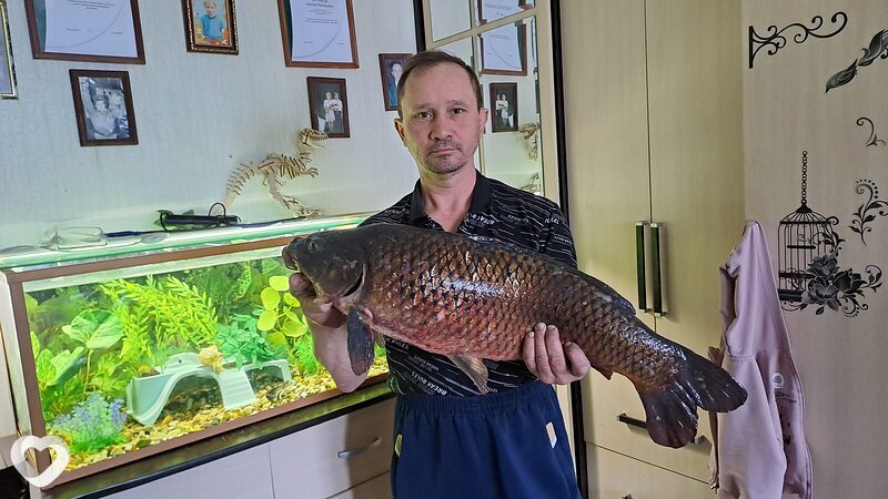 Алексей, 50, Березниках — анкета №1172854