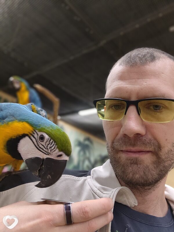 Дмитрий, 36, Дмитрове — анкета №1173219