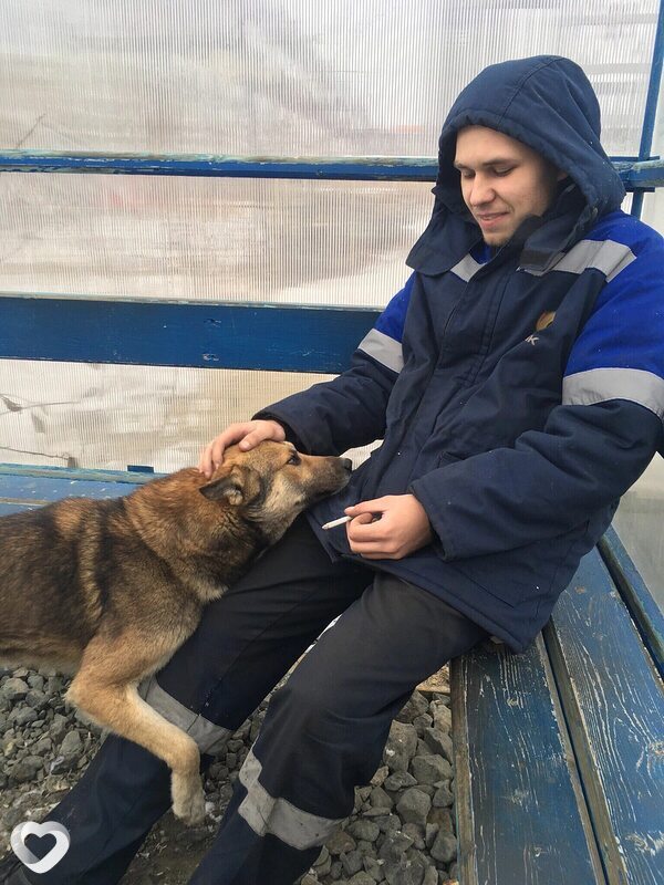 Константин, 30, Ревде — анкета №1184004